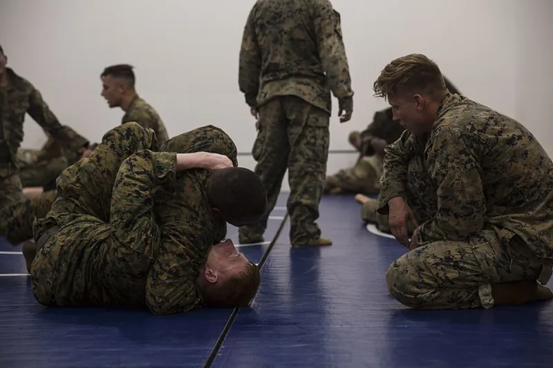 Honor in Decline: A Candid Look at What Modern Martial Arts Culture Is Sacrificing for Popularity