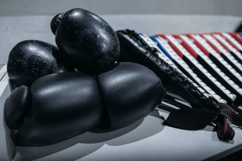 Gear Up Right: A Complete Guide to Pratap Singh Martial Arts Training Equipment and Merchandise