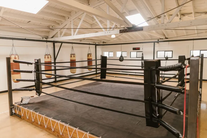 The Minimal Dojo: How to Build a Serious Home Training Space Without Breaking the Budget